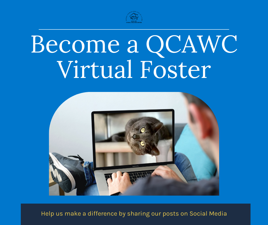 Virtual foster facebook post